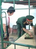 các chú hướng dẫn xếp mền