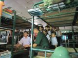 Img 1542 1