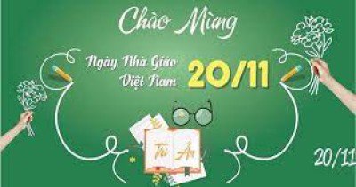 hình 20/11
