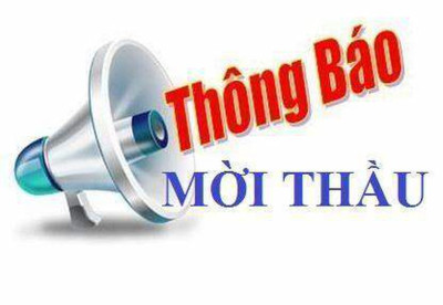 HỒ SƠ MỜI THAM GIA ĐẤU GIÁ TÀI SẢN